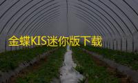 金蝶KIS迷你版下载 11.0 官方版